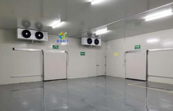 打造智能化電商生鮮冷庫，解鎖鮮活食材的流通奧秘