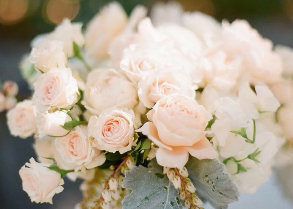 揭秘鮮花冷庫的保鮮奧秘，花束如何嬌艷不凋零？