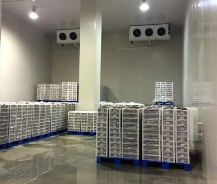 規范建造100平帶魚冷庫，為食品保鮮護航