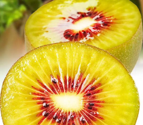 1000平獼猴桃冷藏保鮮庫建造注意事項(xiàng)-開冉制冷