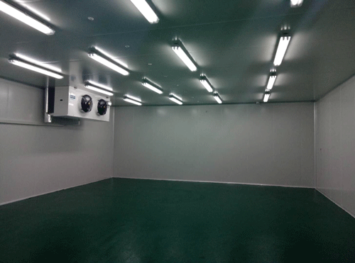 低溫科研冷庫 低溫科研冷庫