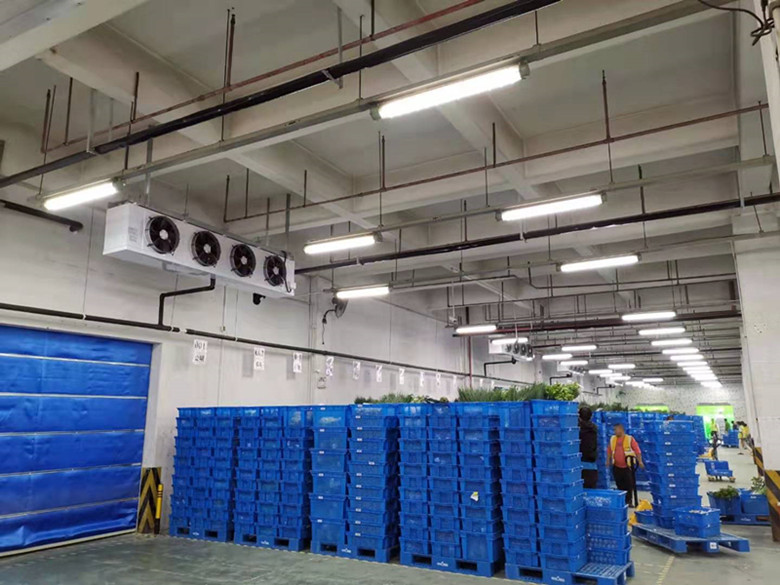 1618207173345331.jpg 1618207173345331.jpg