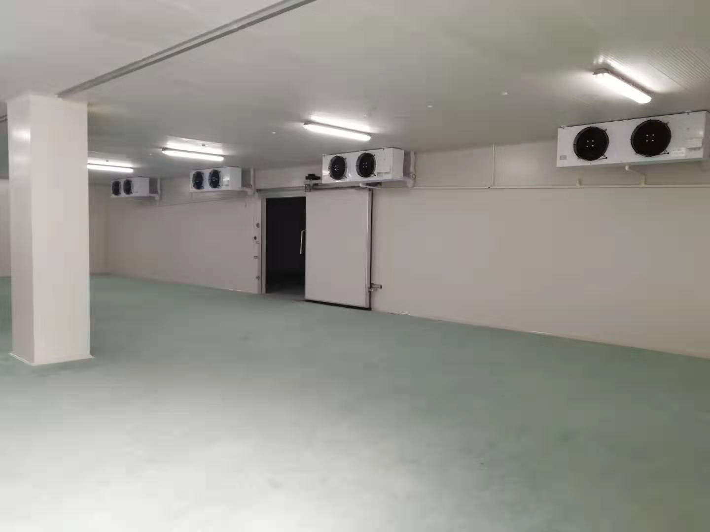 海鮮物流冷凍庫 海鮮物流冷凍庫